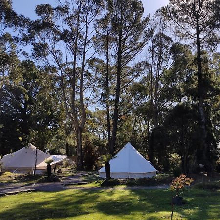 Glamping At Zeehan Bush Camp Esterno foto