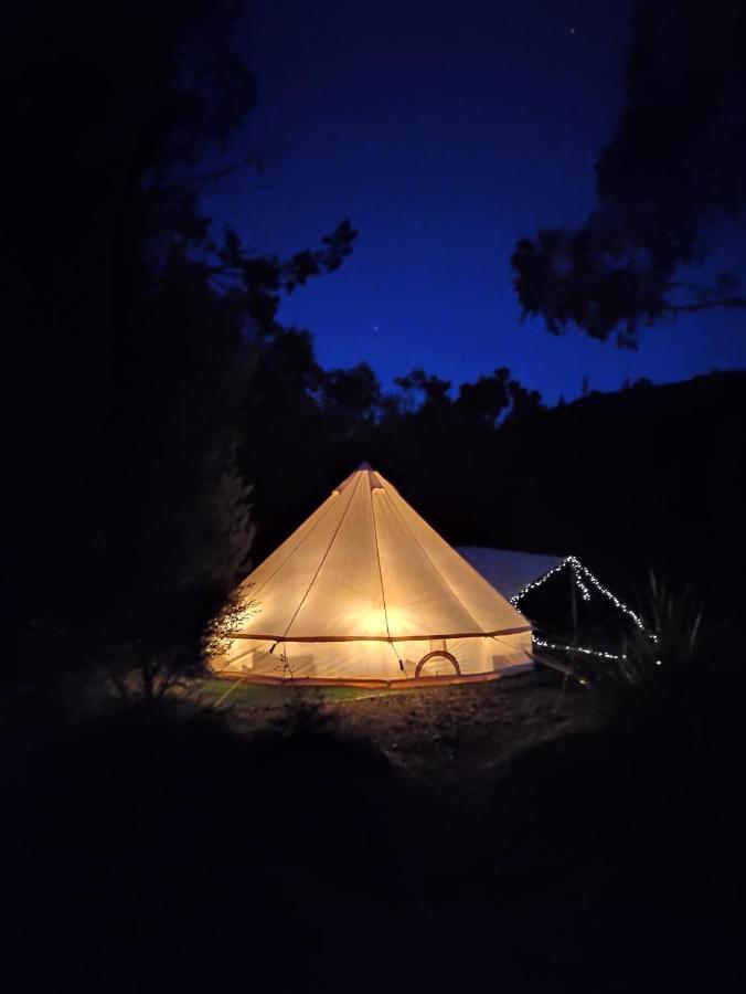 Glamping At Zeehan Bush Camp Esterno foto