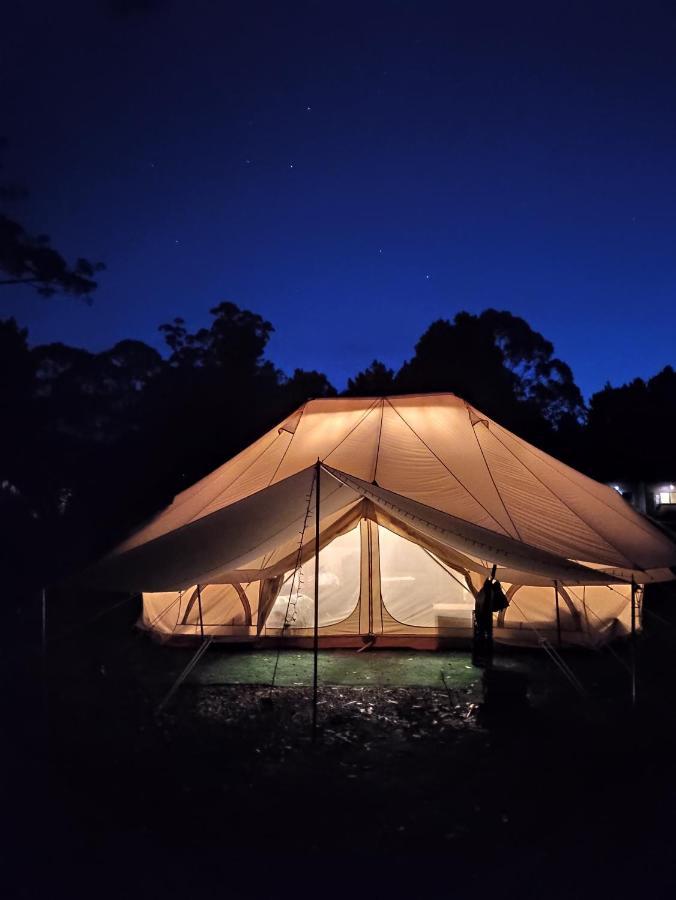 Glamping At Zeehan Bush Camp Esterno foto