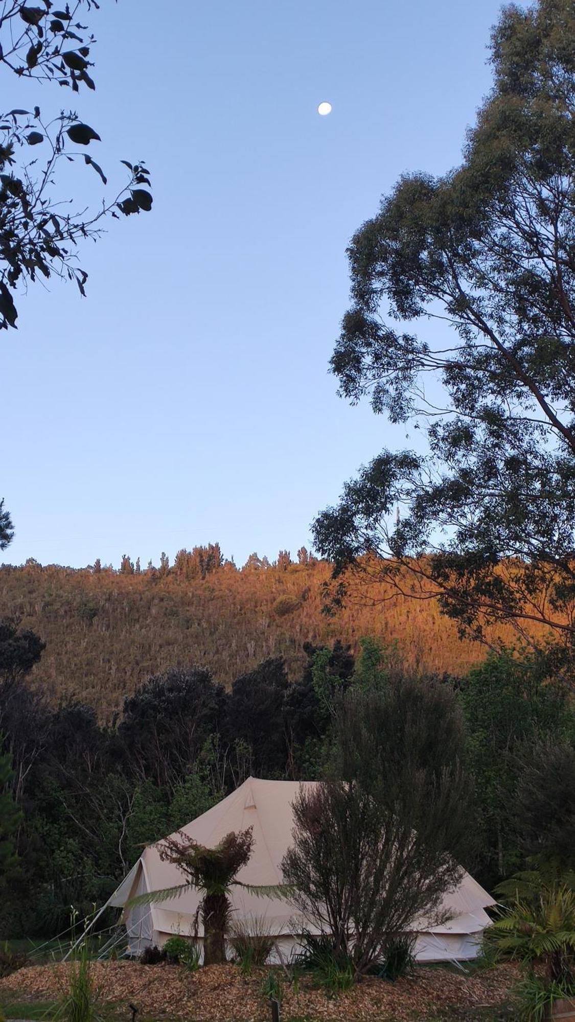 Glamping At Zeehan Bush Camp Esterno foto