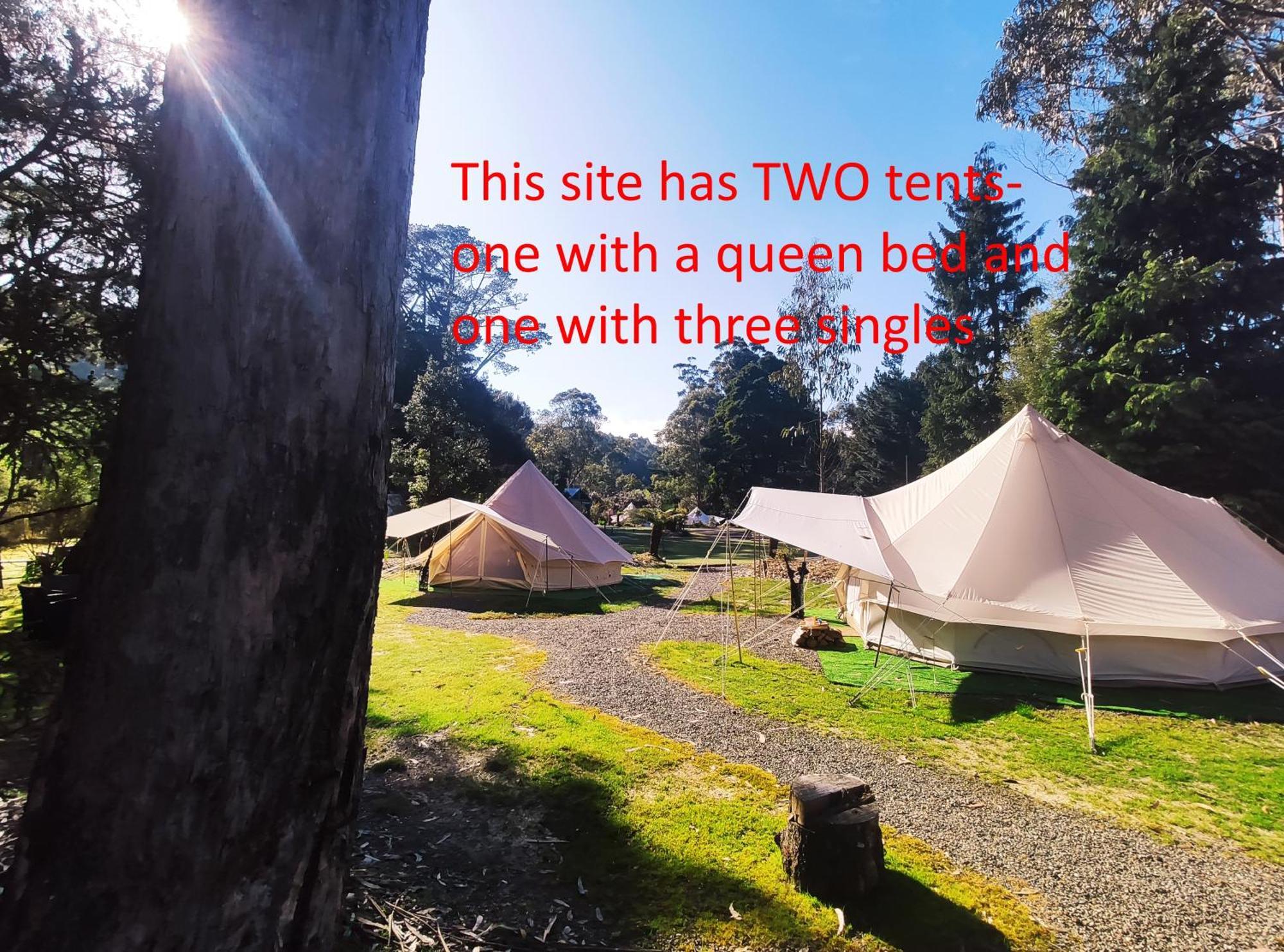 Glamping At Zeehan Bush Camp Esterno foto