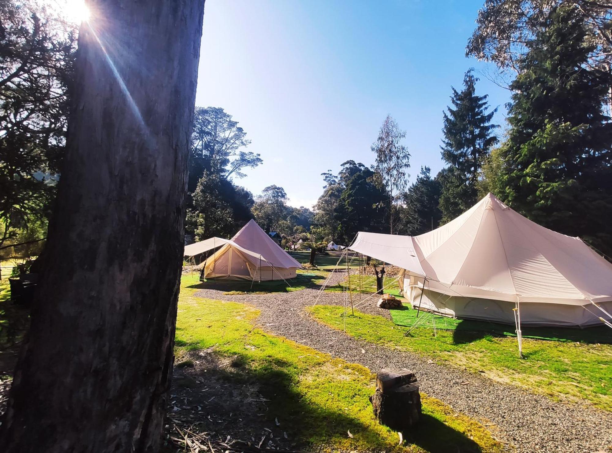 Glamping At Zeehan Bush Camp Esterno foto