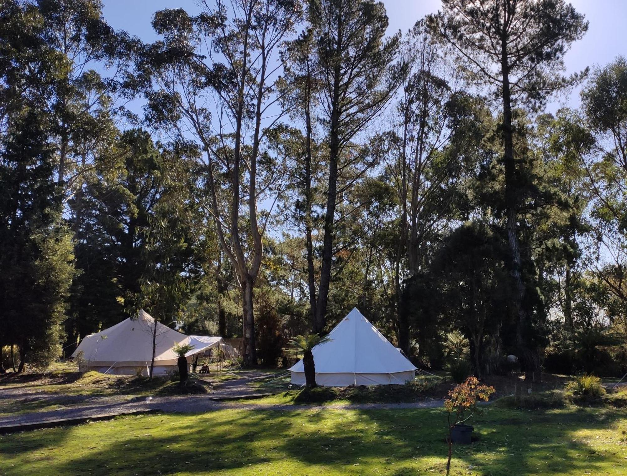 Glamping At Zeehan Bush Camp Esterno foto