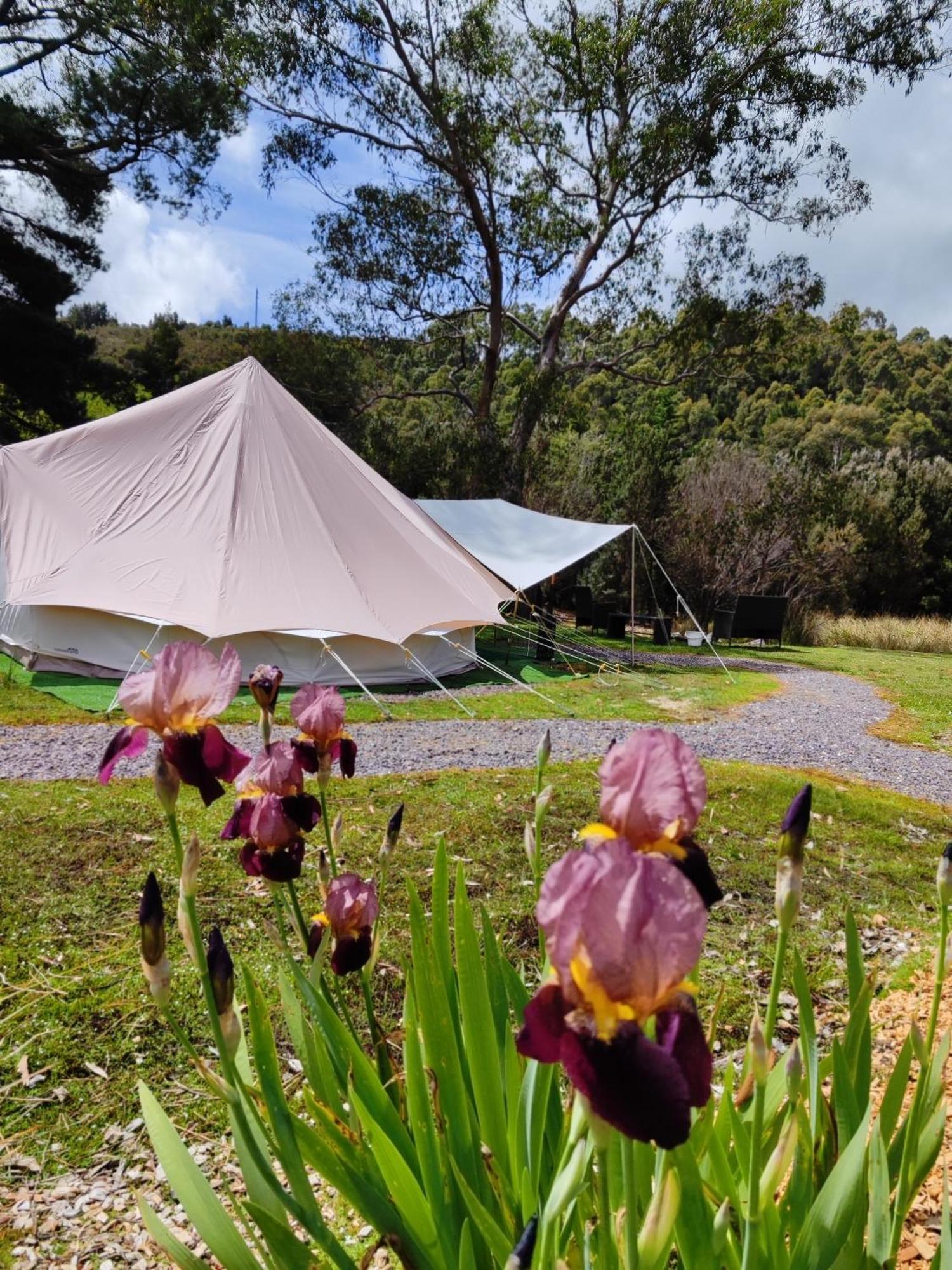 Glamping At Zeehan Bush Camp Esterno foto