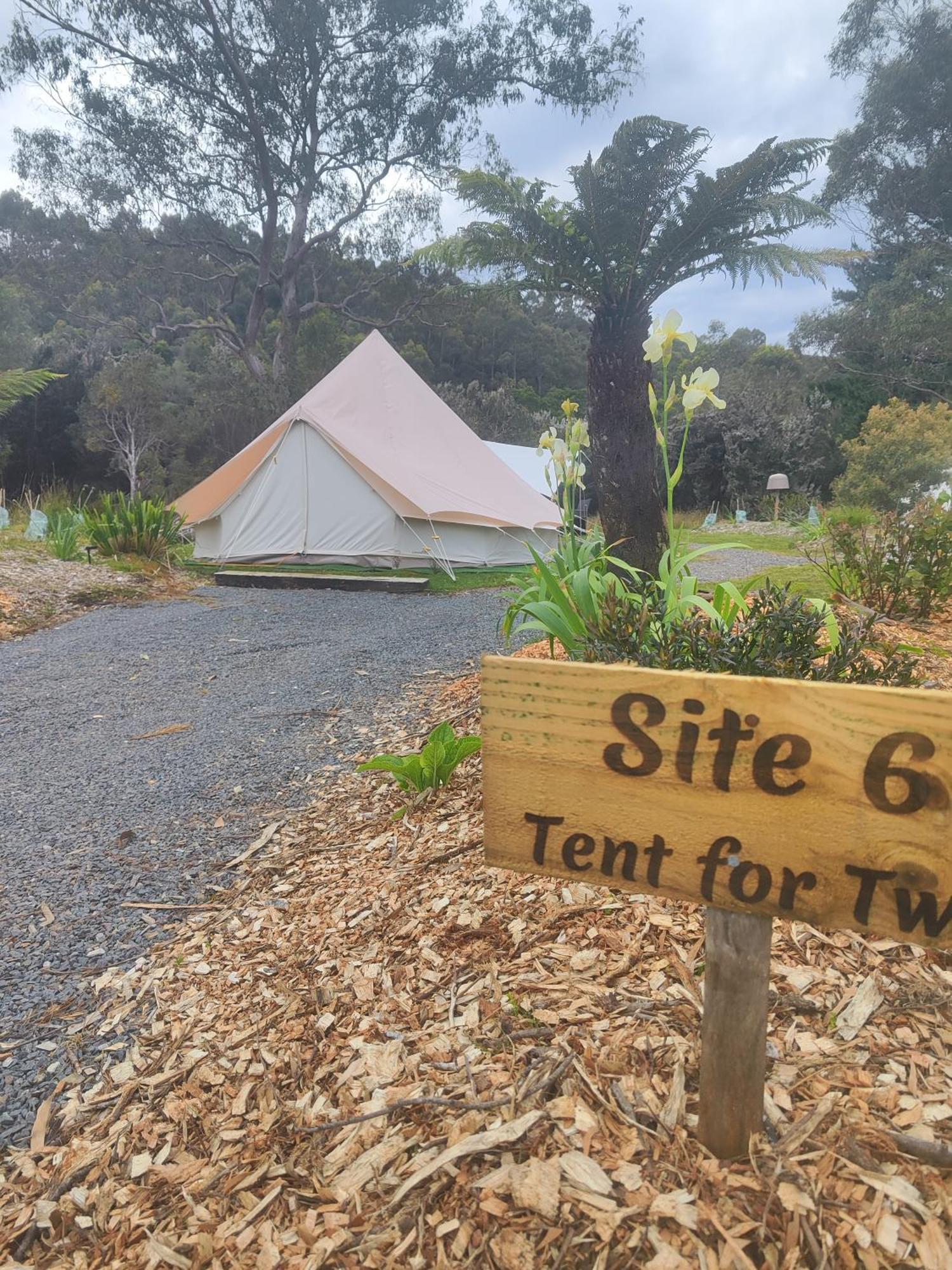 Glamping At Zeehan Bush Camp Esterno foto