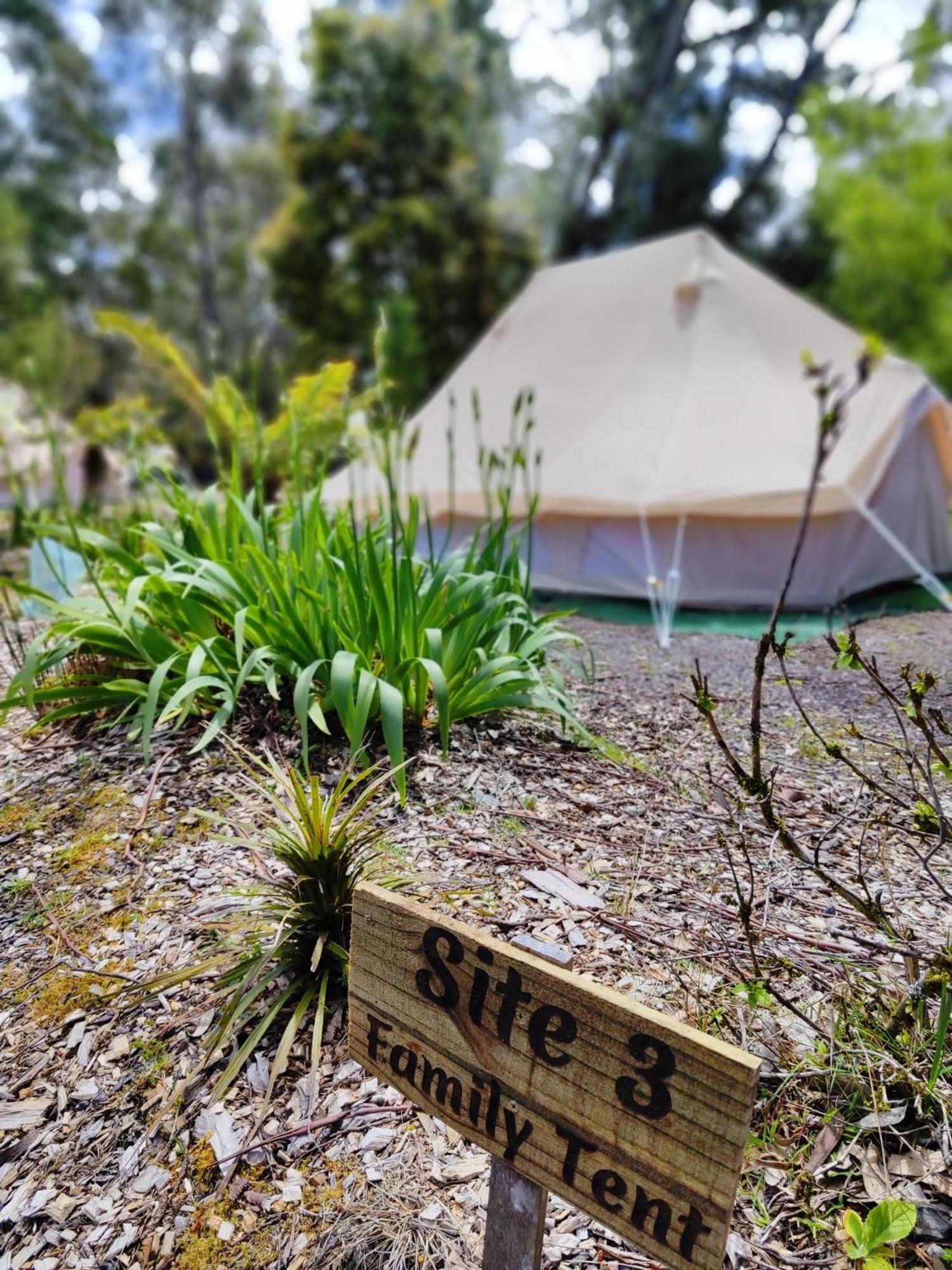 Glamping At Zeehan Bush Camp Esterno foto