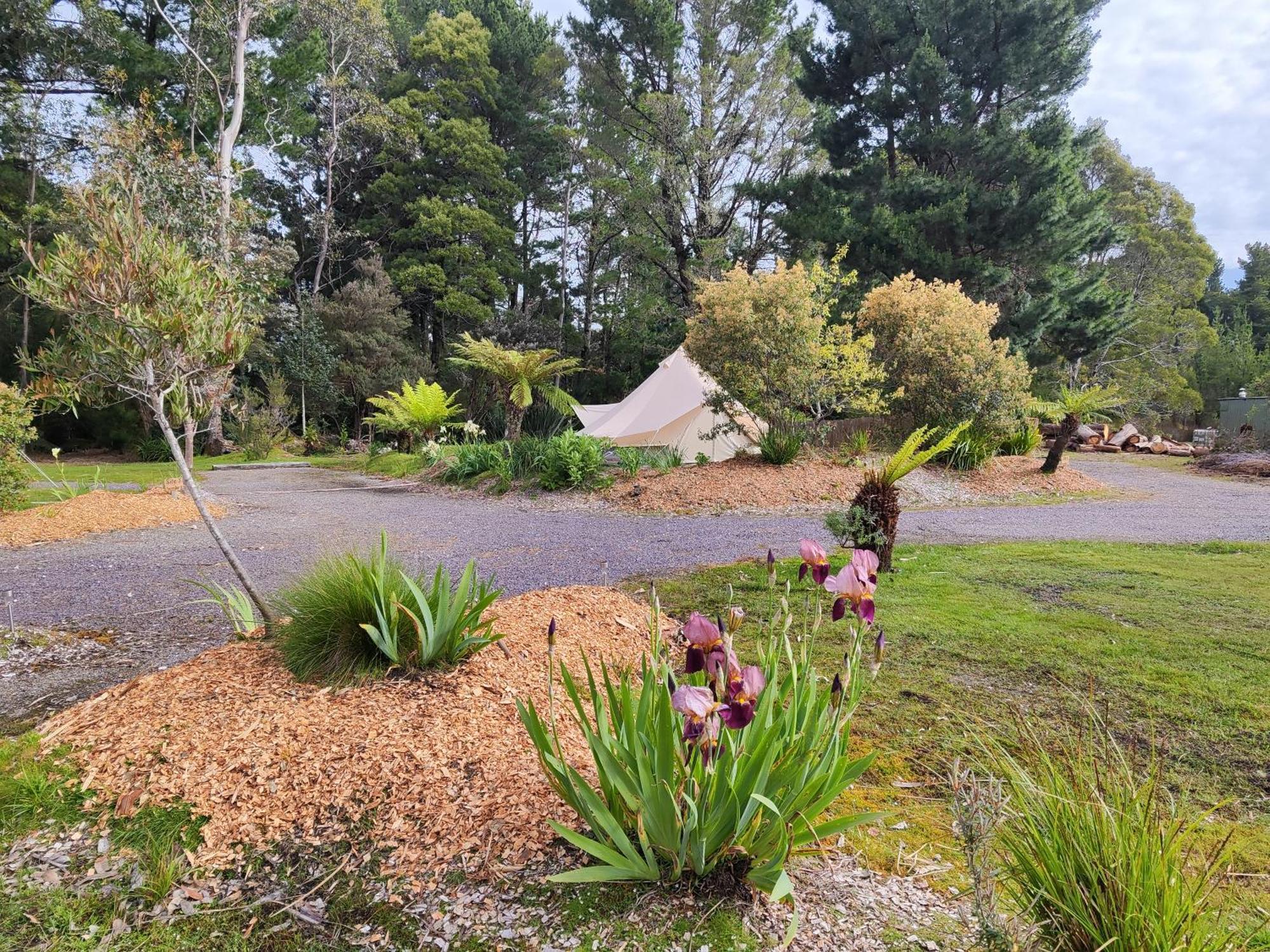 Glamping At Zeehan Bush Camp Esterno foto