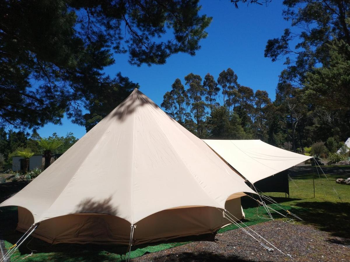 Glamping At Zeehan Bush Camp Esterno foto