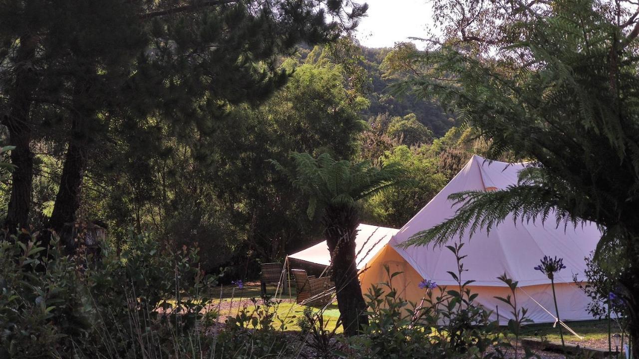 Glamping At Zeehan Bush Camp Esterno foto