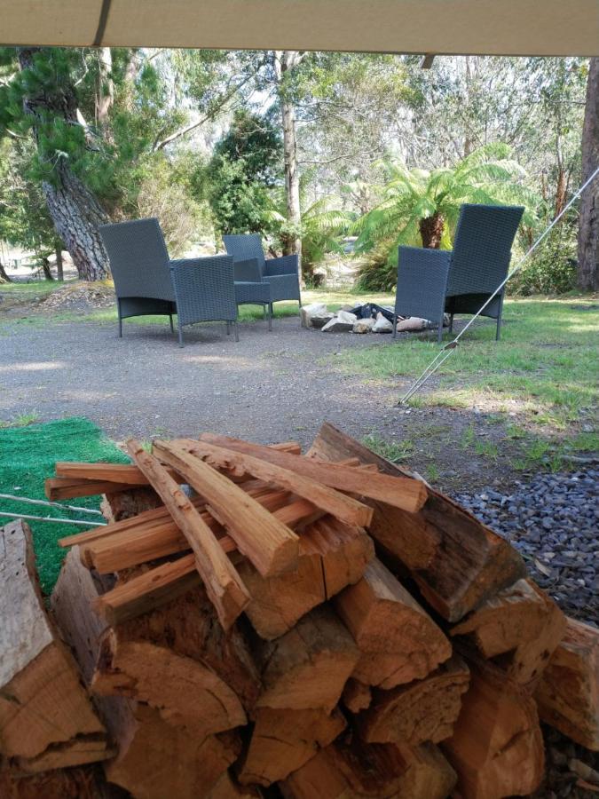 Glamping At Zeehan Bush Camp Esterno foto